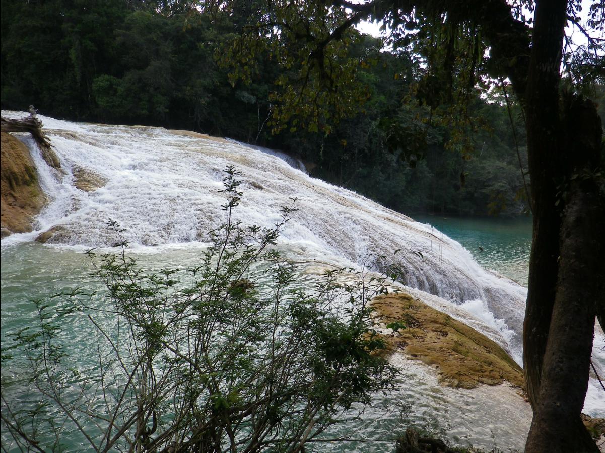 Agua Azul Waterfall29